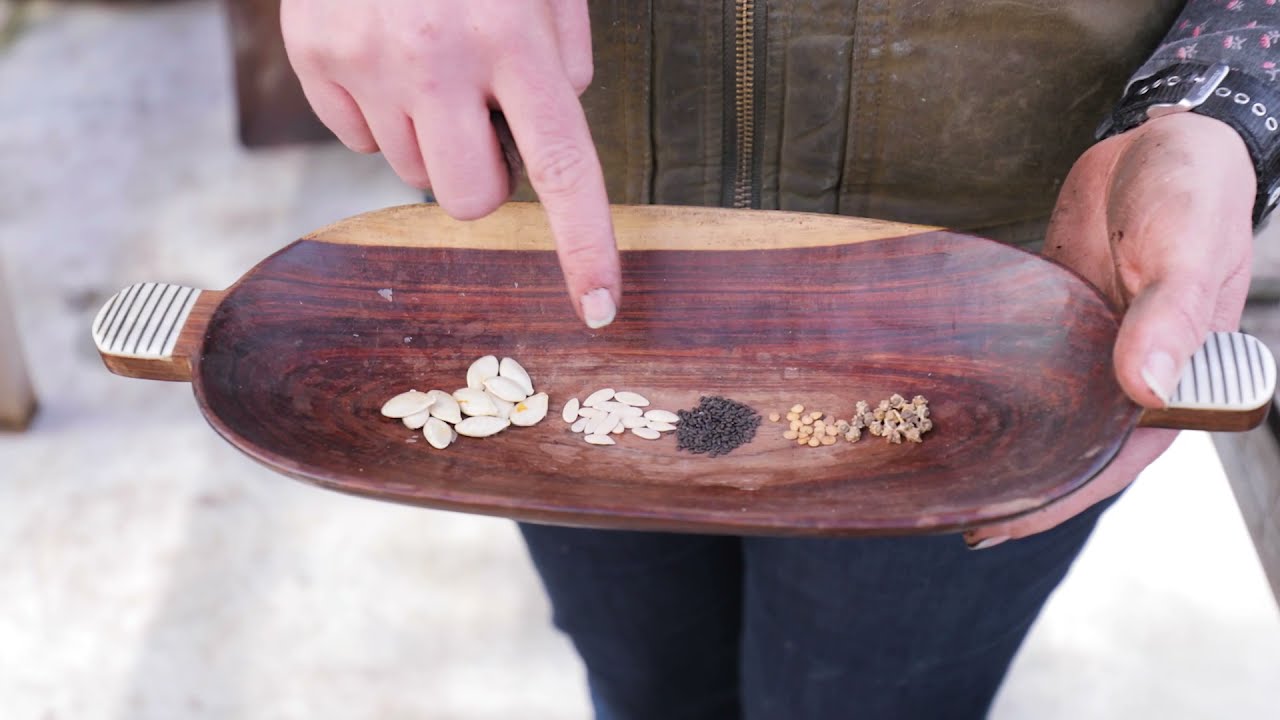 TerraThrive Regenerative Gardening Instructional Series-- Seed Germination