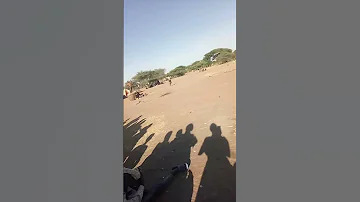 Mgote Mdogo Na Sumbi Mdogo Ngoma Za Asili 