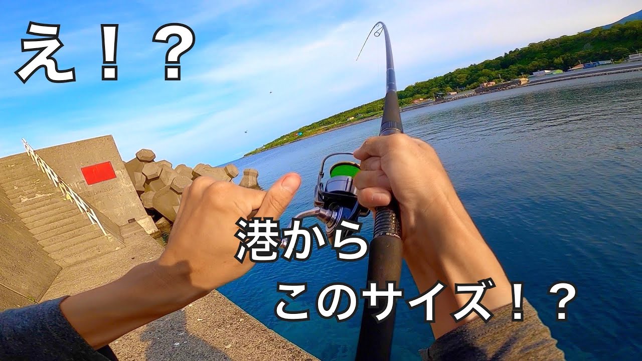 おだやかな港に潜む大物を釣り上げた夏の日。【車中泊釣り旅北海道編・第15話】