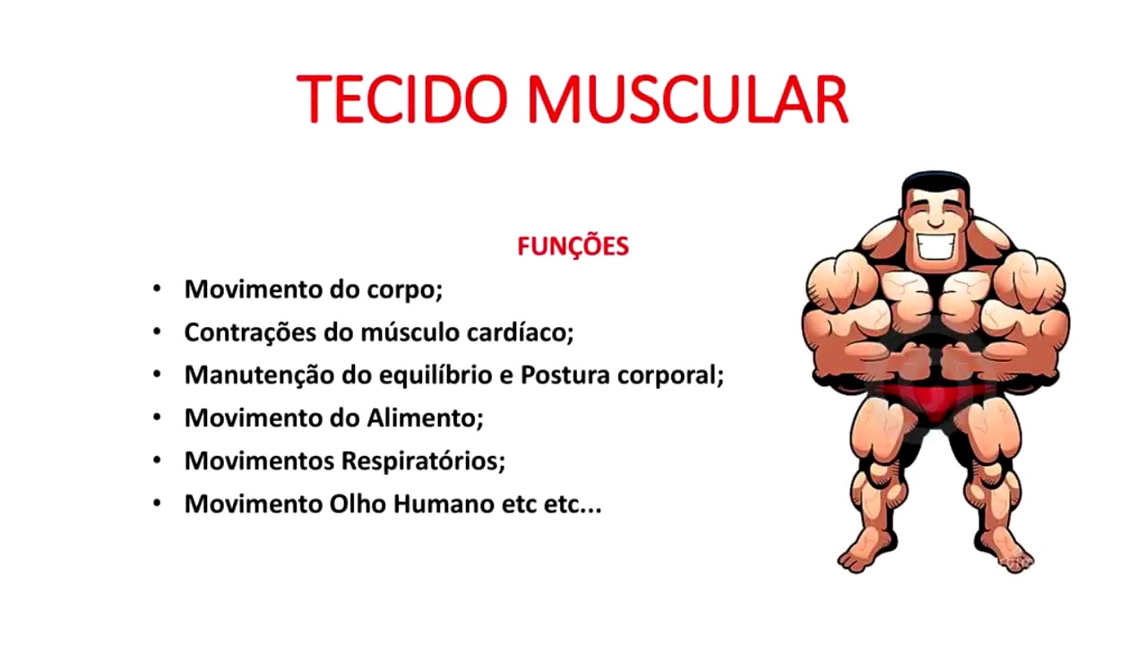 Quais As Funcoes Do Tecido Muscular SOLOLEARN Quais As Funcoes Do Tecido Muscular SOLOLEARN
