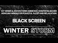 Icy Winds &amp; Snowstorm Ambience | Winter Blizzard &amp; Howling Winds for Peaceful Sleep and Relaxation