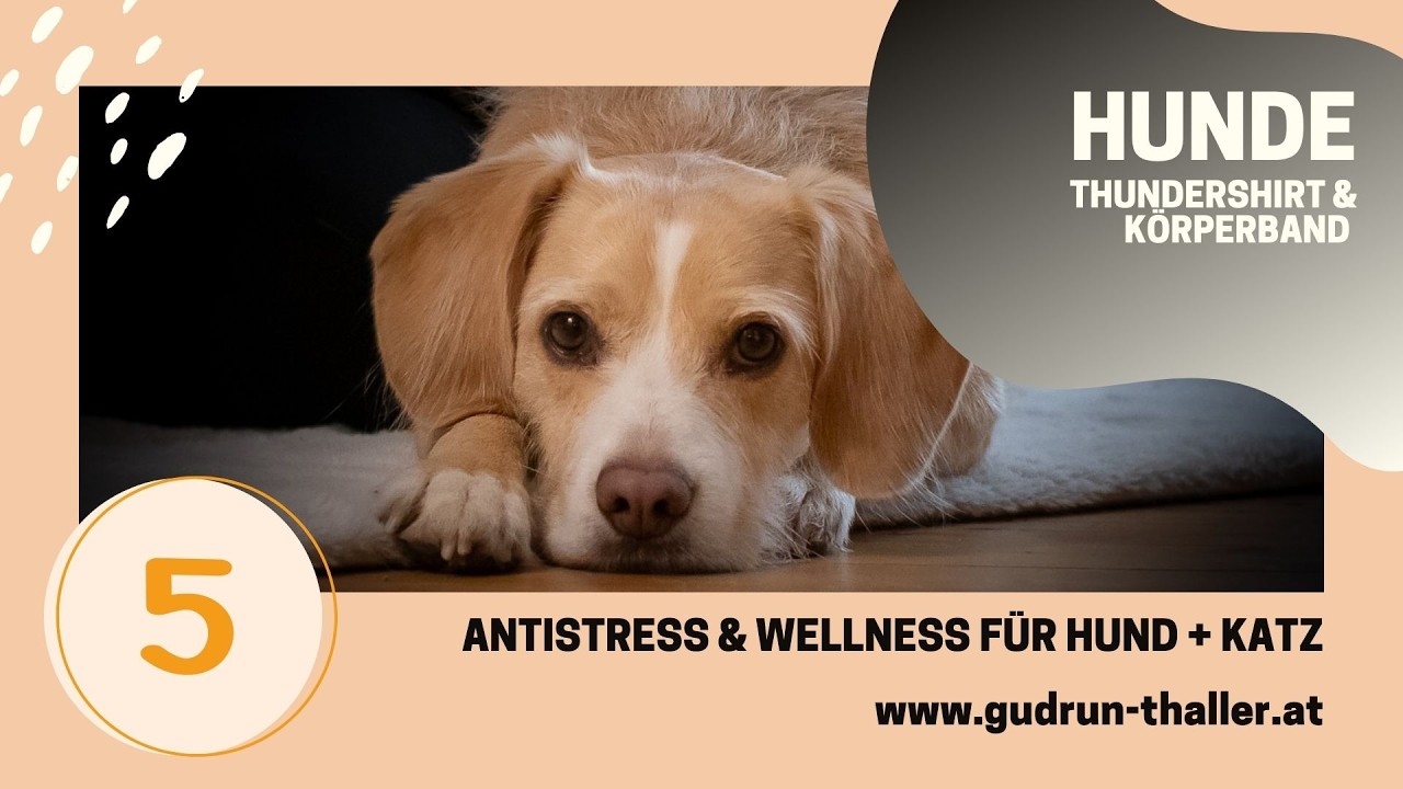 TTOUCH HILFSMITTEL - THUNDERSHIRT & KÖRPERBAND