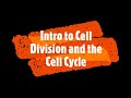 Fix audio intro to cell division and the cell cycle  mr boylan