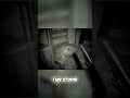 Attic Showdown: Revenge is a Dish Best Served with Ammo #shorts