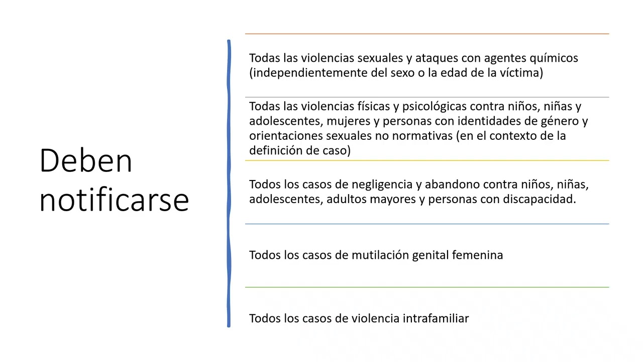 PROTOCOLO INS VIOLENCIA DE GENERO E INTRAFAMILIAR 2026