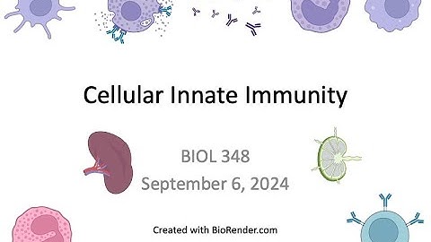 Immunology Fall 2024: Lecture 5 Cellular Innate Immunity