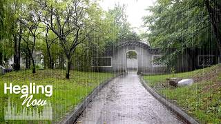 Clear Your Mind With Relaxing Rain Sounds  White Noise For Tinnitus Stress Relief And Deep Sleep