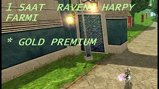 INT PRIEST 1 SAAT RAVEN HARPY FARMI 2025 GÜNCEL DROPLAR STKO - ZION