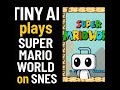 Tiny AI Plays Super Mario World - AI Training Journey, How Far Can We Get?