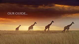 Foolish Game (Rock Cinematic Version)