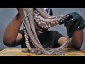 iii Eat: Octopus S1EP20 Mukbang ASMR