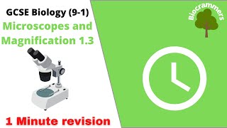 GCSE Biology (9-1) Microscopes and Magnification (Edexcel,AQA,OCR)