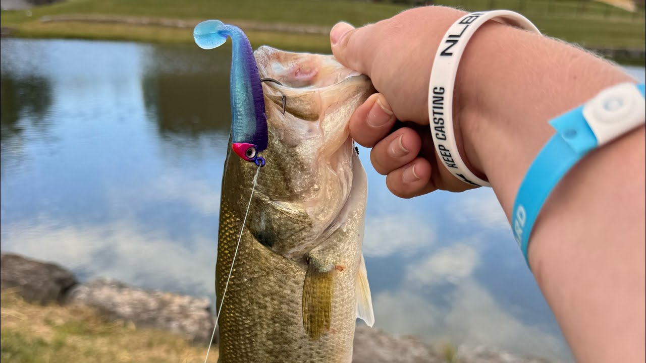 Fishing Pennsylvania pond for monster bass. Throwing 3.75 inch 6th sense swim bait 🎣🎣