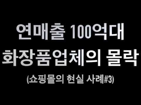 연 매출 100억대 화장품쇼핑몰의 몰락..(쇼핑몰의 현실 사례 #3)