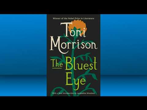 Cobb County Schools removes award-winning novel from library shelves