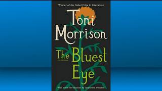 Cobb County Schools removes award-winning novel from library shelves