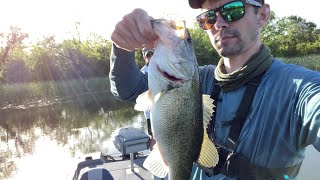 Bass Fishing Lake Bastrop 2021