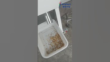 Small Color Sorter for Broken Walnuts Sorting #walnuts #colorsorter