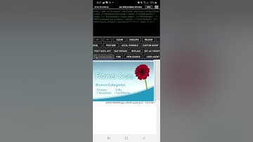 Anon Hackbar - XPATH Vulnerability
