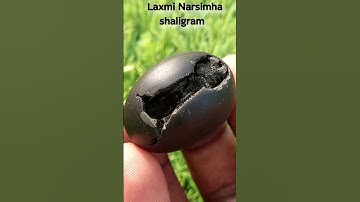 Laxmi Narshima - Shaligram Shila - Gandaki Nadi Shaligram #shorts #short #shortsfeed