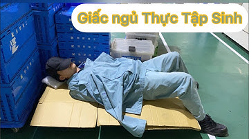 Giấc Ngủ Thực Tập Sinh - Thực Tập Sinh Nhật Bản