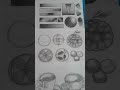 Técnica e Precisão no Desenho Acadêmico
