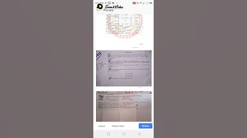 past paper number theory bs math 3rd semester gcuf main campus