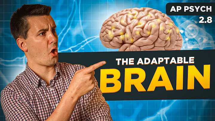 Neuroplasticity & Effects Of Psychoactive Drugs [AP Psychology Unit 2 Topic 8]