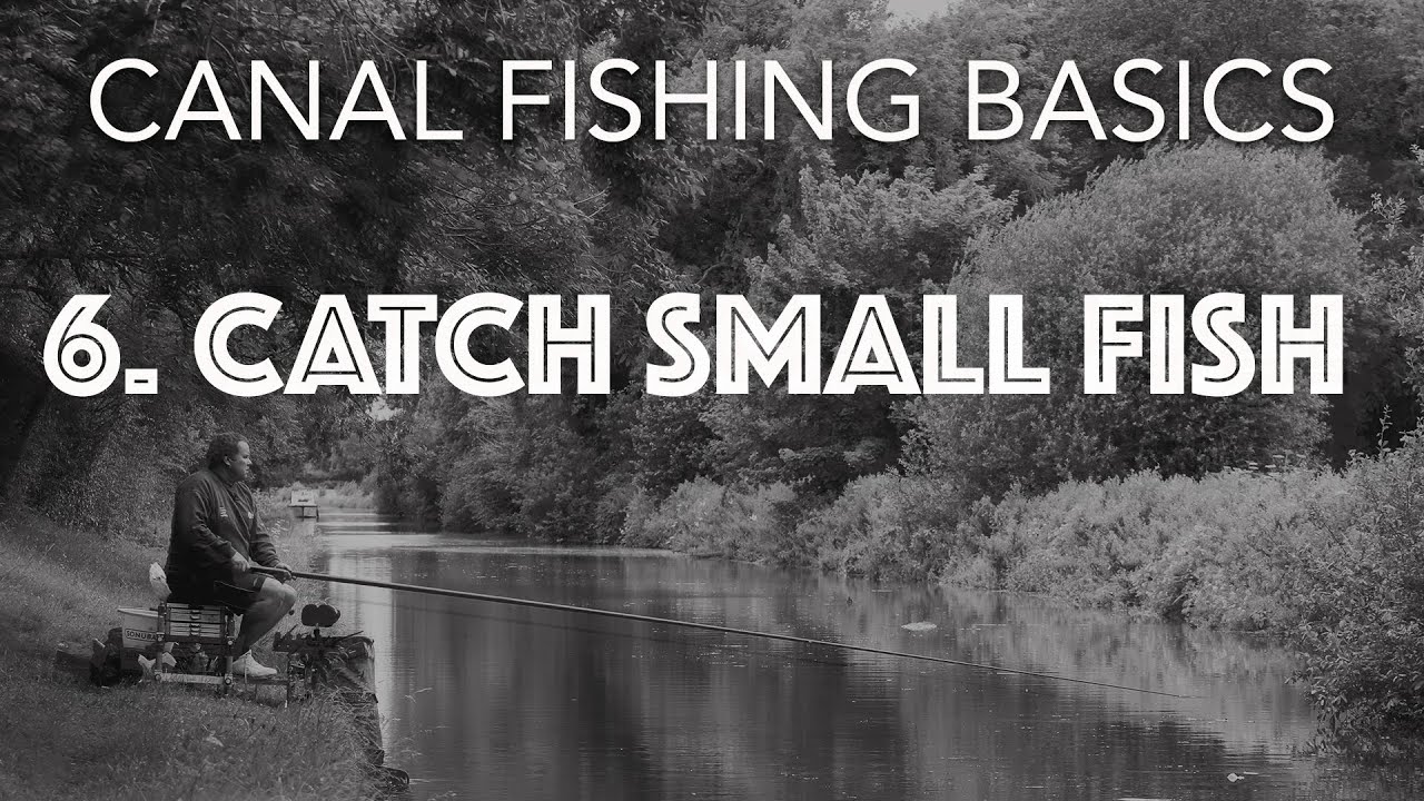 How To Catch Small Canal Fish - YouTube