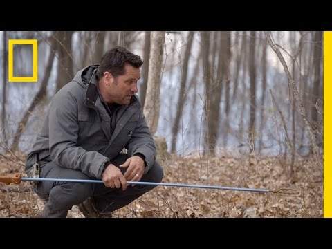 Woodchuck Whisperer | Dirty Rotten Survival