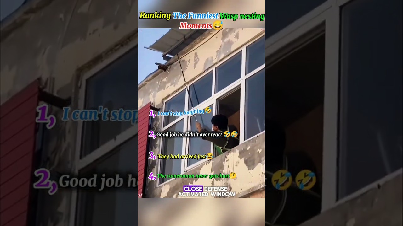 Рейтинг самых смешных моментов из жизни ос во время гнездования😅 