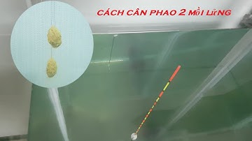 Cách cân phao câu đài hai mồi lửng – Kinh nghiệm câu đài cơ bản
