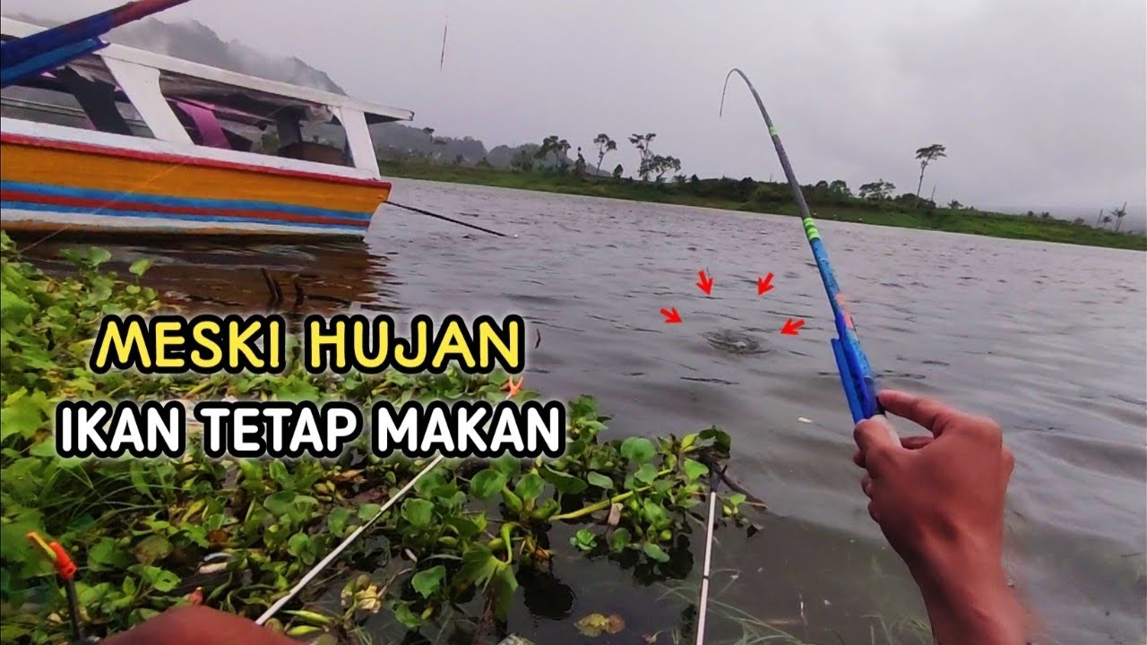 MESKI HUJAN TETAP KITA TERJANG‼️DEMI MENCARI KENTULAN‼️WADUK SELOREJO NGANTANG