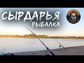 СЫРДАРЬЯ ОТДЫХ РЫБАЛКА (из Архива) ШЫМКЕНТ 2020