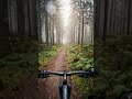 #Shorts #Bicycle #Cinematic #Trending #Cycling ❤️🩹