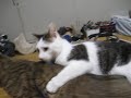 男同士。９
