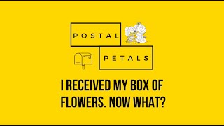 Postal Petals Flower Delivery | Unboxing + Prep