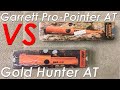 Пинпоинтер Gold Hunter AT. Garrett Pro pointer AT vs Китайца Gold Hunter AT