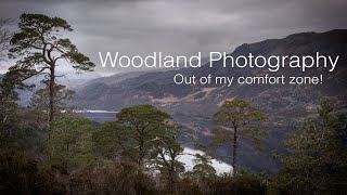 Woodland photography in Torridon - Stepping out of my comfort zone