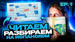 Лучшая практика дома: чтение книги и грамматический разбор от преподавателя. Гигантская черепаха ч.1