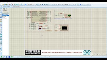 DIY Project assignment-3