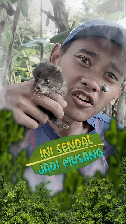 THIS IS A FOX BLOWING INTO A FOX ‼️