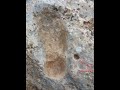 تحليل إشارة القدم تحليل إشارة القدم