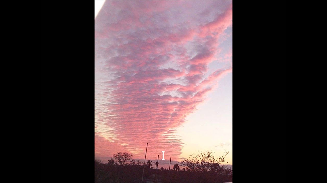 Two Crows Deciding-Studio Rel. Nov. '85 by J. Mascaro.wmv