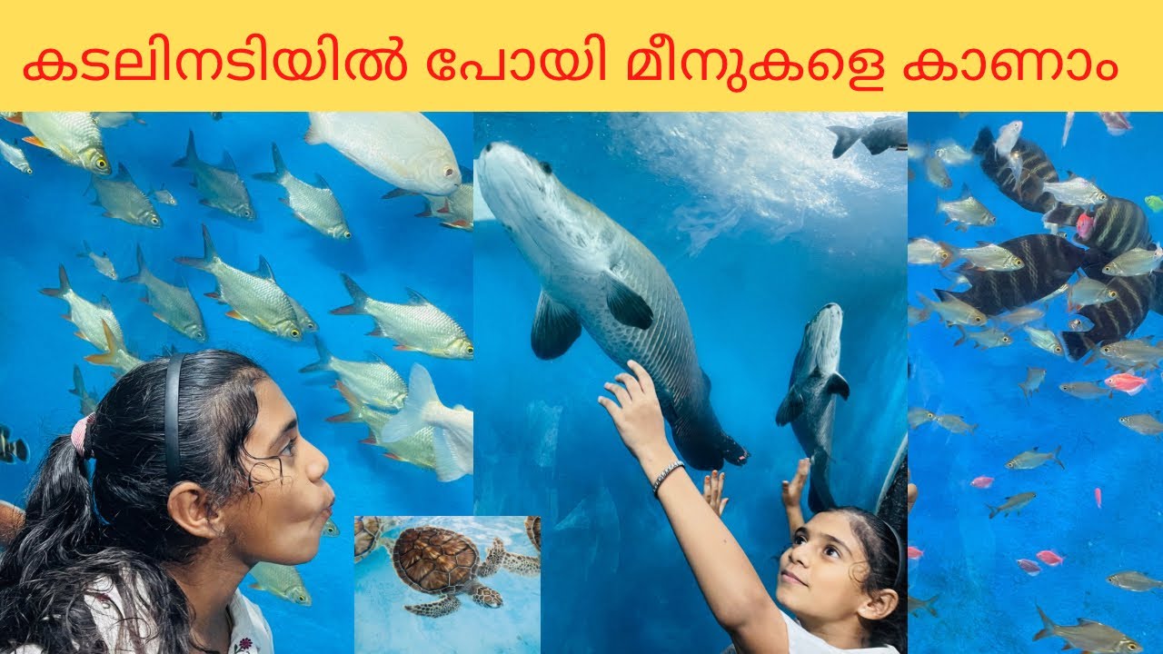 കടലിനടിയിലെ അത്ഭുത കാഴ്ചകൾ Kozhikode Beach New Underwater Tunnel