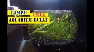 Cara buat filter aquarium selama pakai, tanpa kapas busa.