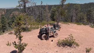 ATV in Fish Lake NF in 4k