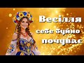 Весілля себе буйно почуває Популярна українська пісня українськіпісні Ukrainianmusic хіти 