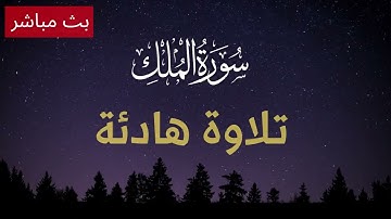سورة الملك - راحة نقسية لا توصف (فقط للقنوات غير الربحيه قران كريم بدون حقوق لإعادة النشر)