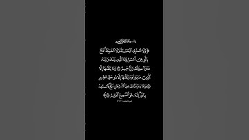 #سورة_فصلت القارئ #علي_جابر